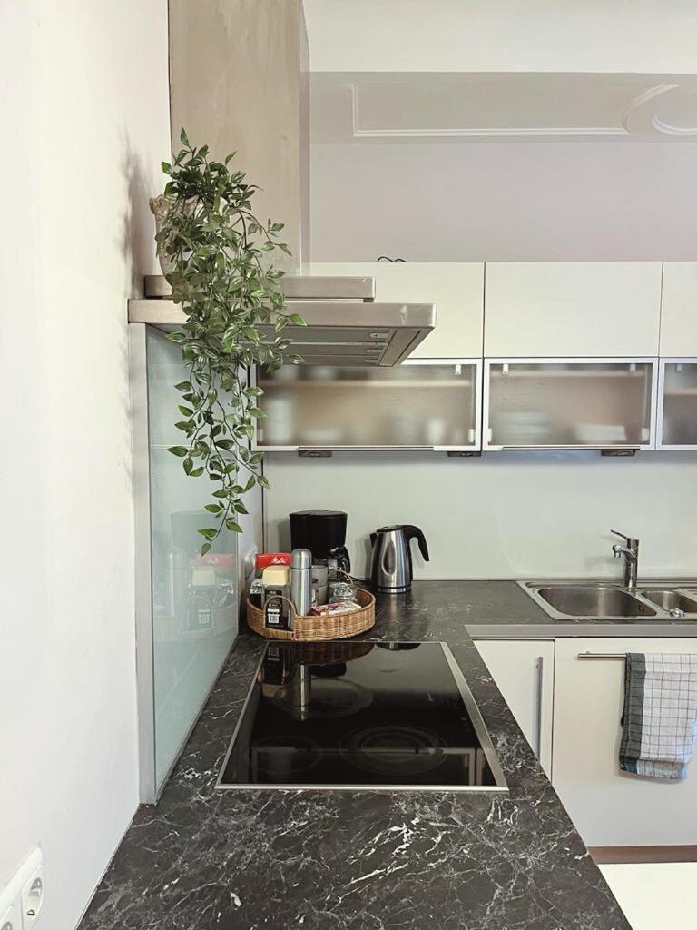 Taferne In Koestendorf - Ferienwohnung Monteurzimmer Neumarkt am Wallersee Exterior foto